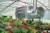 Подвесной дизельный теплогенератор BALLU FARM 90 M/C oil купить в Ноябрьске