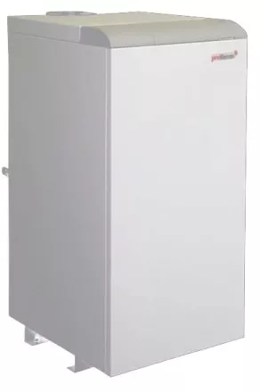 Котел Protherm 20 TLO купить в Ноябрьске