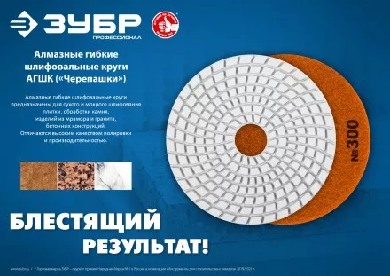 ЗУБР 100 мм, №300, мокрое шлифование, алмазный гибкий шлифовальный круг АГШК, Профессионал (29866-300) купить в Ноябрьске