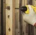 Дрель ударная STDR5510C ключевой патрон Stanley купить в Ноябрьске
