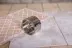 Коронка алмазная HAMMER Ф68мм HEX (DHS 68.0*65/5) купить в Ноябрьске