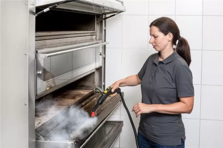 Пароочиститель KARCHER SG 4/4 профи купить в Ноябрьске