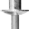 Заклепки PROFIX алюминиевые, 4,0х6мм, 50шт, STAYER Professional 3120-40-06 3120-40-06 купить в Ноябрьске