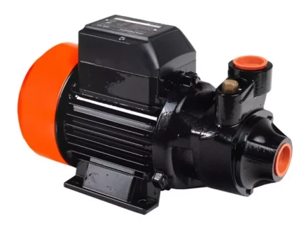 Насос поверхностный QB-70 PATRIOT купить в Ноябрьске