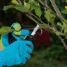Нож садовый Palisad, 165 мм, складной, окулировочный, пластиковая рукоятка, 790547 купить в Ноябрьске