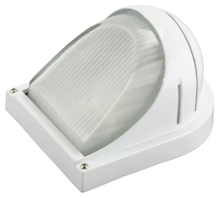 Светильник уличный СВЕТОЗАР &quot;СКАТ&quot; влагозащищенный, цвет белый, 60Вт SV-57355-W купить в Ноябрьске