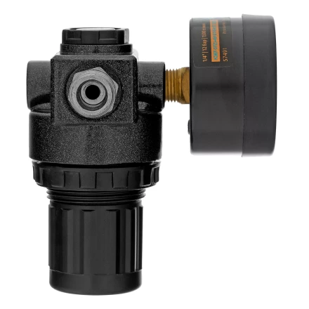 Регулятор давления с манометром Denzel R1500, 12 бар, 1/4&quot;, 57491 купить в Ноябрьске