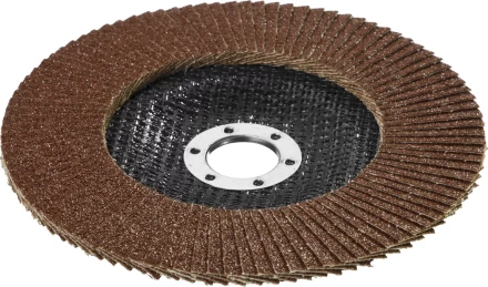 Круг шлифовальный STAYER "PROFI" лепестковый торцевой, зерно-электрокорунд нормальный, тип КЛТ 1, P60, 125х22,2мм 36581-125-060 купить в Ноябрьске