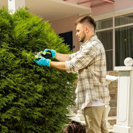 Секатор прямого реза Palisad, 190 мм, пластиковые рукоятки, 60456 купить в Ноябрьске