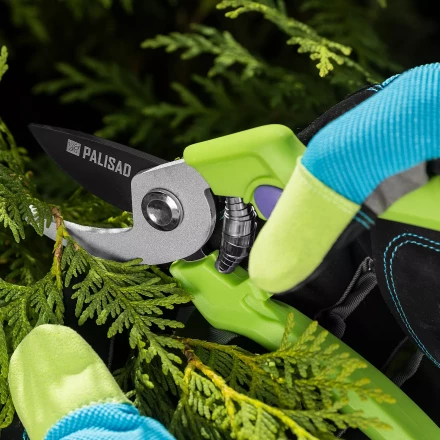 Секатор прямого реза Palisad, 190 мм, пластиковые рукоятки, 60456 купить в Ноябрьске