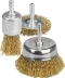 STAYER &quot;PROFESSIONAL&quot;. Набор щеток-крацовок для дрели, витая стальная латунированная проволока 0,3мм, диск. 50мм, чаш. 50мм, кистевая 25мм, 3шт 35152-H3_z01 купить в Ноябрьске