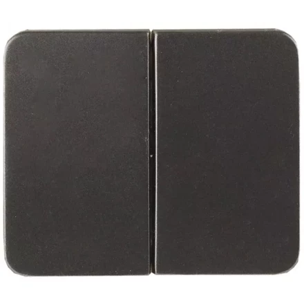 Выключатель СВЕТОЗАР &quot;ГАММА&quot; двухклавишный, без вставки и рамки, цвет темно-серый металлик, 10A/~250B SV-54134-DM купить в Ноябрьске