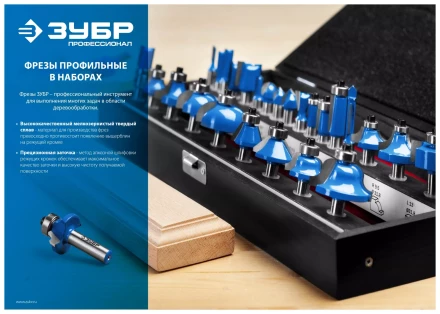 ЗУБР 30 шт, набор профильных фрез по дереву, Профессионал (28796-H30) купить в Ноябрьске