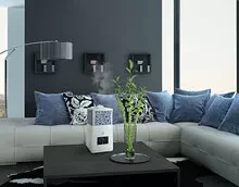 Увлажнитель воздуха ультразвуковой Electrolux EHU-3715D купить в Ноябрьске