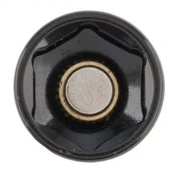 БИТА GROSS С ТОРЦЕВОЙ ГОЛОВКОЙ NUT-DRIVER С МАГНИТОМ, 13ММ, S2 11623 купить в Ноябрьске