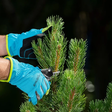 Секатор с наковальней Palisad, 170 мм, усиленный, рукоятки в ПВХ-оболочке, Luxe 605235 купить в Ноябрьске