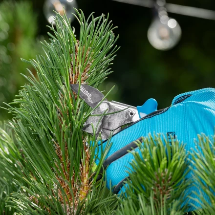 Секатор с наковальней Palisad, 170 мм, усиленный, рукоятки в ПВХ-оболочке, Luxe 605235 купить в Ноябрьске