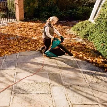 Воздуходувка-пылесос BOSCH ALS 30 W/EEU электрическая купить в Ноябрьске