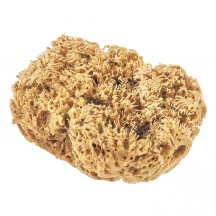 Губка натуральная для декоративных покрытий Matrix 86817 купить в Ноябрьске