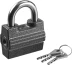 Замок навесной, дисковый механизм секрета, ВС2-23 37220-23 купить в Ноябрьске