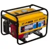 Бензиновый генератор STEM Techno SPG 3000 купить в Ноябрьске