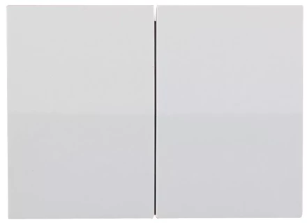 Выключатель СВЕТОЗАР &quot;ЭФФЕКТ&quot; двухклавишный, без вставки и рамки, цвет белый, 10A/~250B SV-54434-W купить в Ноябрьске