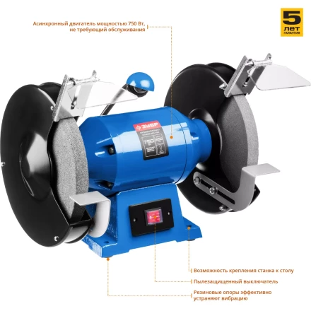 Точило с фонарем ЗТШМЭ-250-750 серия ПРОФЕССИОНАЛ купить в Ноябрьске