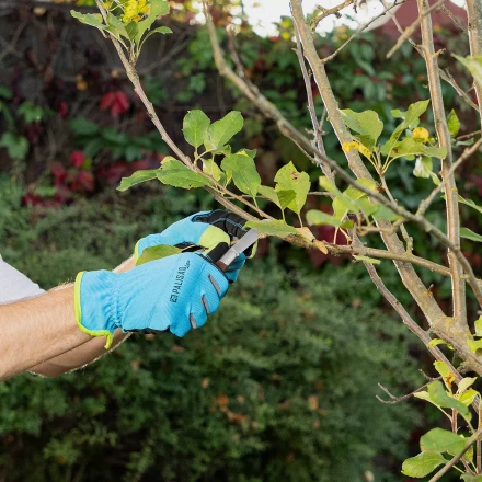 Нож садовый складной Palisad, прямое лезвие, 173 мм, деревянная рукоятка, 790038 купить в Ноябрьске