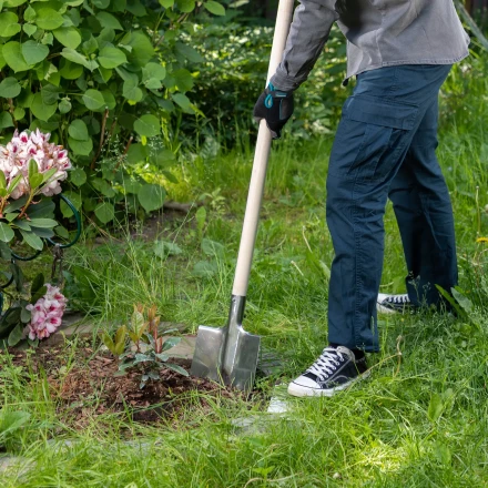 Лопата штыковая, нержавеющая сталь Сибртех, 200х265 мм, ребра жесткости, без черенка, Россия 614375 купить в Ноябрьске