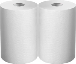 ЗУБР 20 х 25 см, 2-х слойная, в рулоне, 400 листов, 2 рулона, протирочная бумага, Профессионал (12822-20)