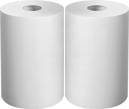 ЗУБР 20 х 25 см, 2-х слойная, в рулоне, 400 листов, 2 рулона, протирочная бумага, Профессионал (12822-20) купить в Ноябрьске