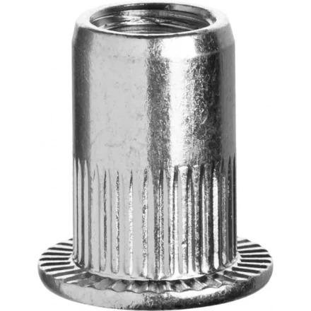 Заклепки ЗУБР резьбовые с насечками, М10, 150шт 31317-10 купить в Ноябрьске