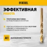 Набор сверл по металлу Denzel 723008, 1-10 мм, Р6М5К8-TiN, Golden Tip, 19 шт купить в Ноябрьске