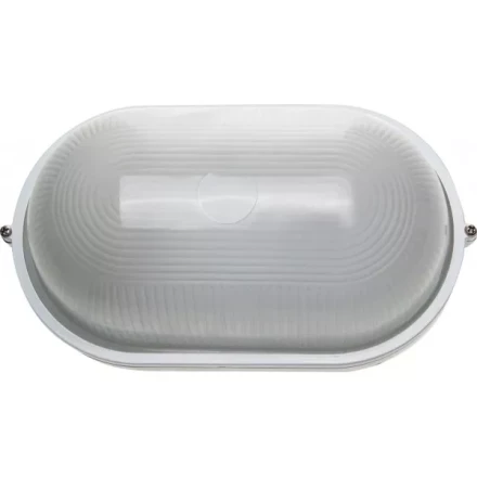 Светильник уличный СВЕТОЗАР влагозащищенный, овал, цвет белый, 100Вт SV-57203-W купить в Ноябрьске