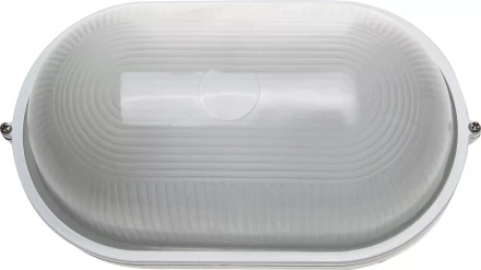 Светильник уличный СВЕТОЗАР влагозащищенный, овал, цвет белый, 100Вт SV-57203-W купить в Ноябрьске