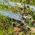 Шланг поливочный прозрачный армированный Palisad 3-х слойный, 1/2&quot;, 15 м, 67360 купить в Ноябрьске